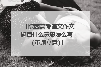 陕西高考语文作文题目什么意思怎么写(审题立意)