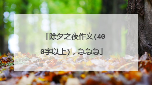 除夕之夜作文(400字以上),急急急