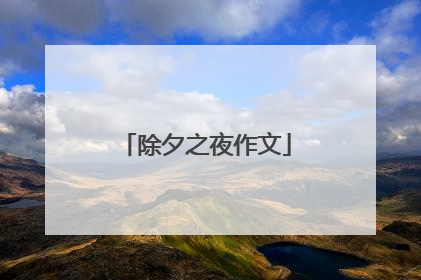 除夕之夜作文
