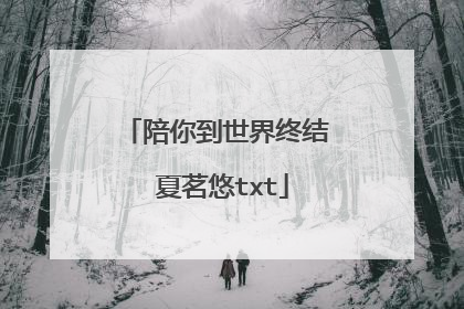 陪你到世界终结 夏茗悠txt