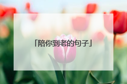 陪你到老的句子