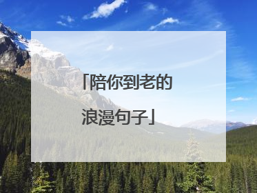陪你到老的浪漫句子