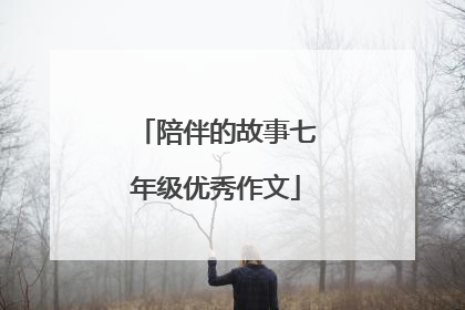 陪伴的故事七年级优秀作文