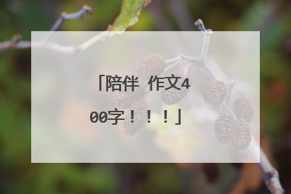 陪伴 作文400字！！！