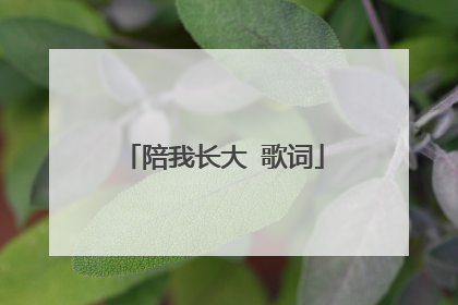 陪我长大 歌词