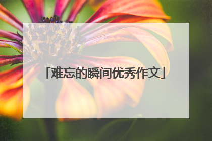 难忘的瞬间优秀作文