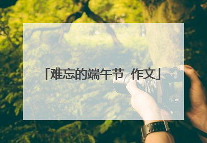 难忘的端午节 作文