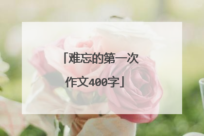 难忘的第一次作文400字