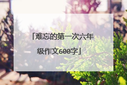难忘的第一次六年级作文600字