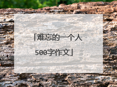 难忘的一个人500字作文