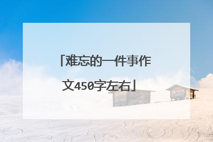 难忘的一件事作文450字左右