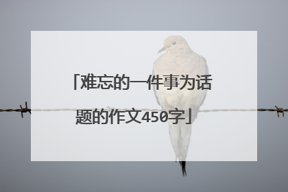 难忘的一件事为话题的作文450字