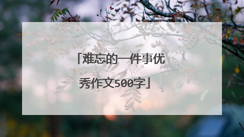 难忘的一件事优秀作文500字