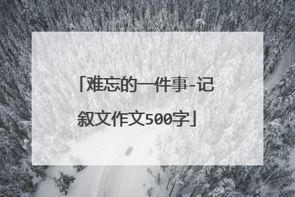 难忘的一件事-记叙文作文500字
