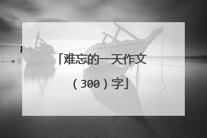 难忘的一天作文（300）字