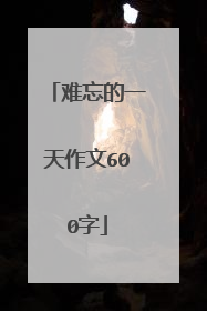 难忘的一天作文600字