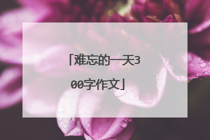 难忘的一天300字作文