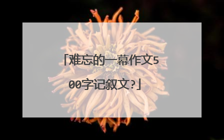 难忘的一幕作文500字记叙文?