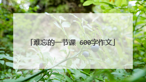 难忘的一节课 600字作文