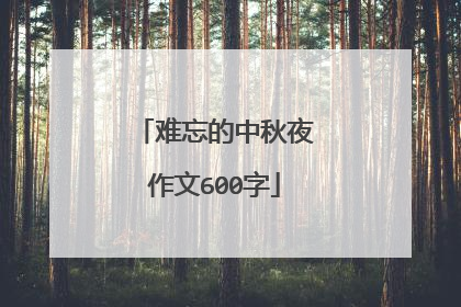 难忘的中秋夜作文600字