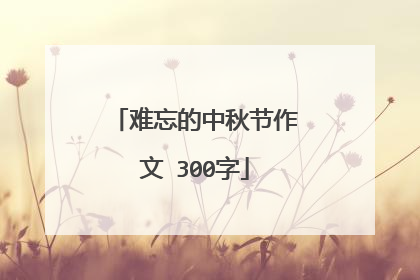 难忘的中秋节作文 300字