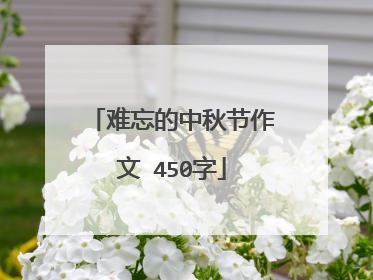 难忘的中秋节作文 450字