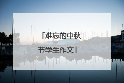 难忘的中秋节学生作文