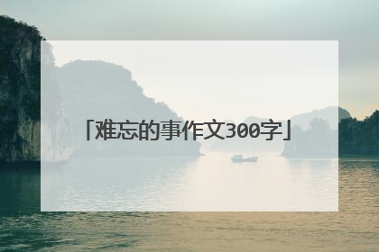 难忘的事作文300字