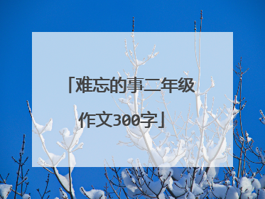 难忘的事二年级作文300字
