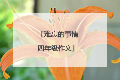 难忘的事情四年级作文