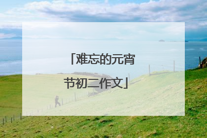 难忘的元宵节初二作文