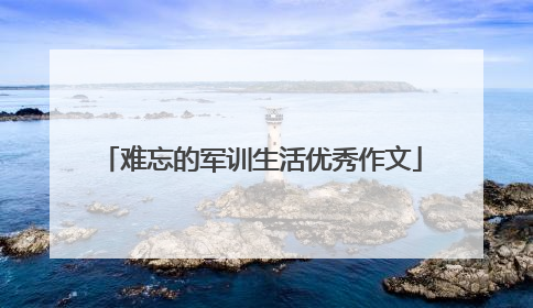 难忘的军训生活优秀作文