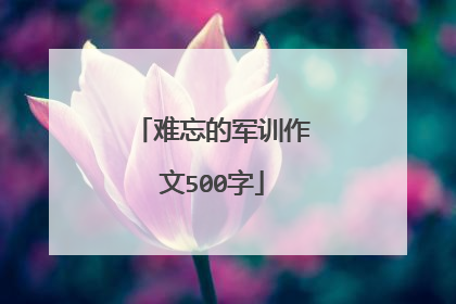 难忘的军训作文500字