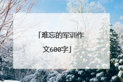 难忘的军训作文600字