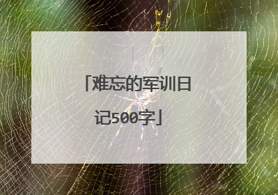 难忘的军训日记500字