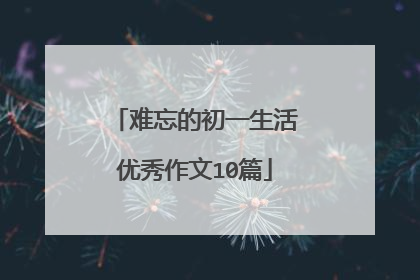 难忘的初一生活优秀作文10篇