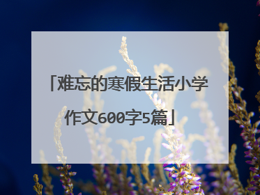难忘的寒假生活小学作文600字5篇