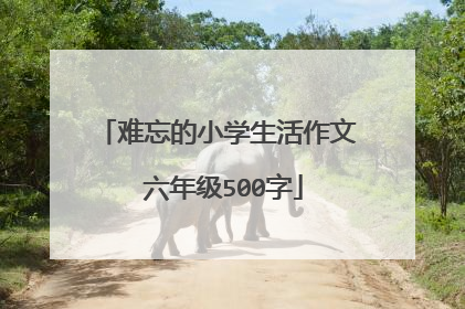 难忘的小学生活作文 六年级500字