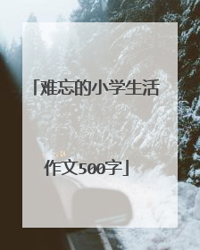 难忘的小学生活作文500字