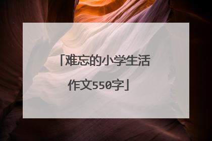难忘的小学生活作文550字