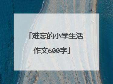 难忘的小学生活作文600字