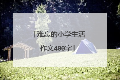 难忘的小学生活 作文400字