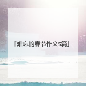 难忘的春节作文5篇