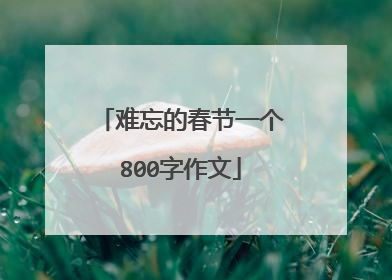 难忘的春节一个800字作文