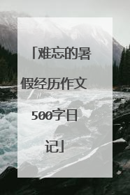 难忘的暑假经历作文500字日记