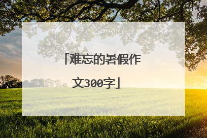 难忘的暑假作文300字