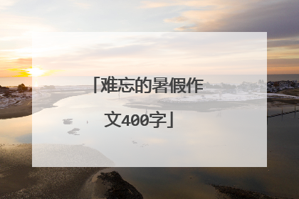 难忘的暑假作文400字