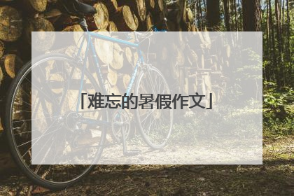 难忘的暑假作文