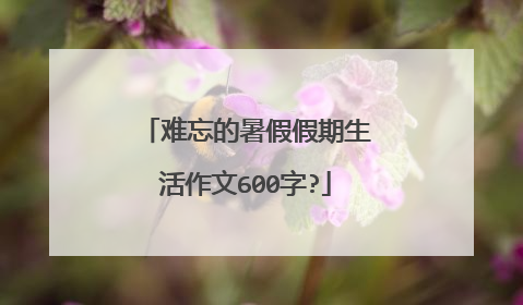 难忘的暑假假期生活作文600字?