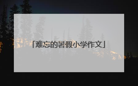 难忘的暑假小学作文